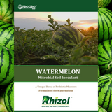 Watermelon - Rhizol Microbial Soil Inoculent