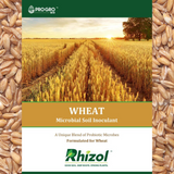 Wheat - Rhizol Microbial Soil Inoculent